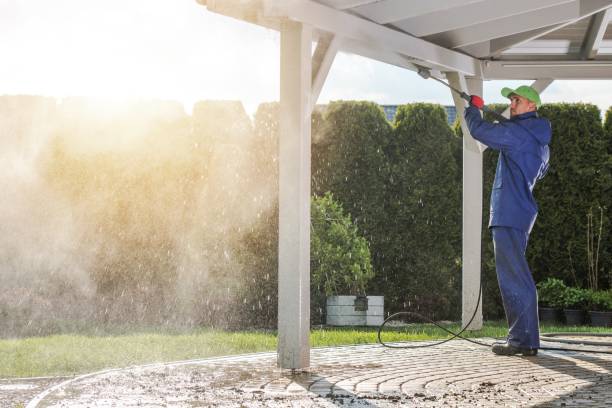 Best Soft Washing for Delicate Surfaces in Ridge, NY